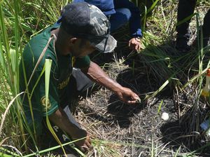 Balai Arkeologi Temukan Cangkang Kerang Laut di Bukit Khulutiyauw, Pertanda Apa?