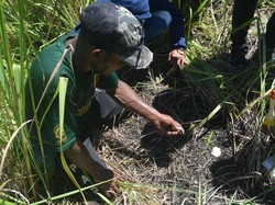 Balai Arkeologi Temukan Cangkang Kerang Laut di Bukit Khulutiyauw, Pertanda Apa?