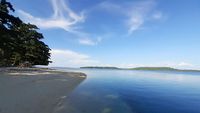 Pulau Kapotar yang Cantik di Papua, Punya Tower tapi Sinyal Tak Ada