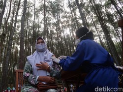 Unik, Vaksinasi Covid-19 Bonus Udara Segar di Hutan Pinus Bantul
