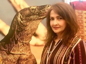 7 Selebriti yang Banting Setir Jadi PNS, Dosen Hingga Pegawai Pajak 7 Selebriti yang Banting Setir Jadi PNS, Dosen Hingga Pegawai Pajak