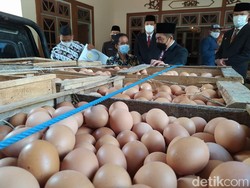 Salut! Peternak Bantu 1 Ton Telur Ayam untuk Nakes di Magelang