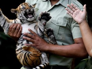 7 Wisata Edukasi di Jawa Timur