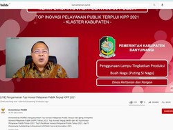Banyuwangi Berprestasi Lewat Penggunaan Lampu Tingkatkan Produksi Buah Naga