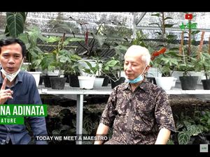 UMKM Tanaman Hias Asal Bogor Tembus Jerman-Korsel, Apa Rahasianya?