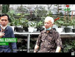 UMKM Tanaman Hias Asal Bogor Tembus Jerman-Korsel, Apa Rahasianya? UMKM Tanaman Hias Asal Bogor Tembus Jerman-Korsel, Apa Rahasianya?
