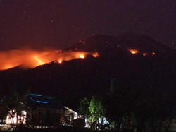 Momen Erupsi Gunung Ile Lewotolok Picu Karhutla