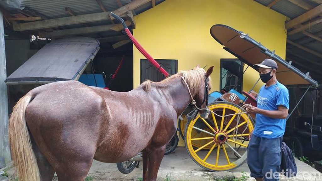 Potret Miris Kusir Andong Candi Borobudur yang Kesulitan Akibat Pandemi Potret Miris Kusir Andong Candi Borobudur yang Kesulitan Akibat Pandemi