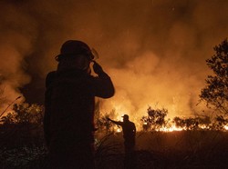Petugas Damkar Spanyol Tewas Saat Berjuang Padamkan Kebakaran Hutan