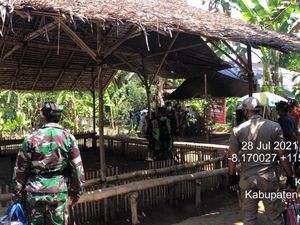 COVID-19 di Buleleng Naik Tajam, Pria Ini Malah Gelar Judi Sabung Ayam