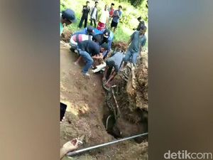 Warga Purwakarta Evakuasi Ular Sanca Kembang Berserta 30 Telurnya