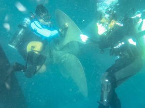 Aksi Prajurit Bersihkan Baling-baling KRI Bima Suci