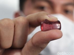 Ini Permen Karya Mahasiswa Unpad yang Bisa Turunkan Kecanduan Rokok