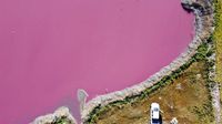 Saat Danau di Argentina Berwarna Pink Gegara Limbah