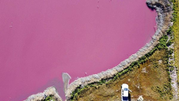 Saat Danau di Argentina Berwarna Pink Gegara Limbah
