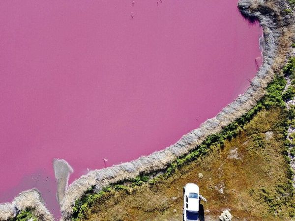 Saat Danau di Argentina Berwarna Pink Gegara Limbah