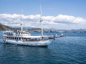 Mau Liburan ke Labuan Bajo, Simak Daftar Agen Resminya Dulu di Sini Mau Liburan ke Labuan Bajo, Simak Daftar Agen Resminya Dulu di Sini