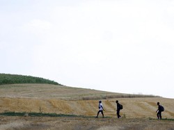 Kosovo-Serbia Tegang di Perbatasan