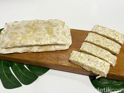 Tempe Kacang Almond Dijual Rp 50 Ribu, Begini Rasanya!