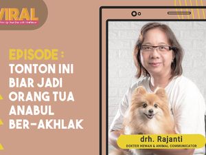 Penjelasan Etika Memelihara Anabul Biar Tak Dibunuh Tetangga