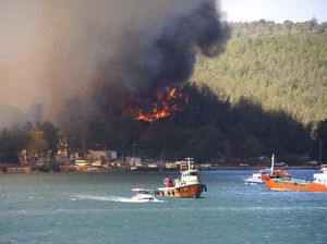 6 Petugas Gugur saat Atasi Kebakaran Hutan di Turki