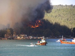 6 Petugas Gugur saat Atasi Kebakaran Hutan di Turki