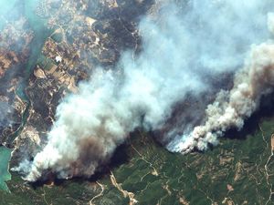 Korban Tewas Akibat Kebakaran Hutan di Turki Jadi 8 Orang