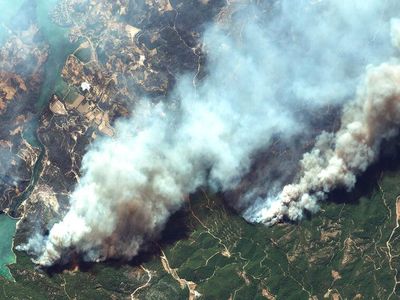 Potret Dahsyatnya Kebakaran Hutan di Turki