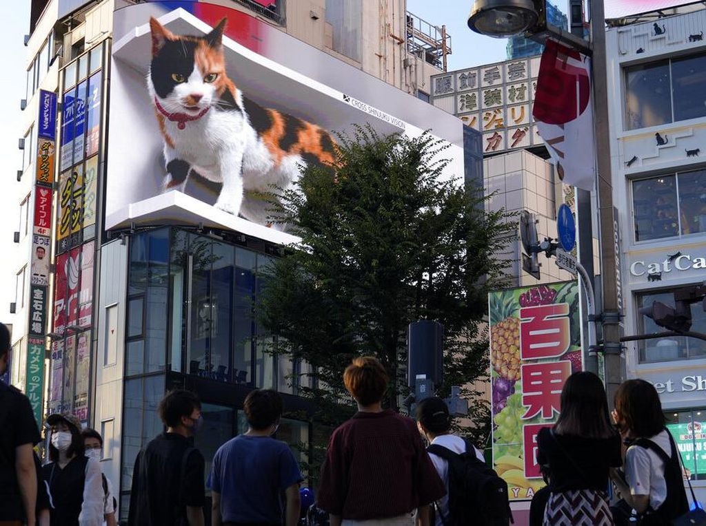 Ini Kucing Raksasa yang Bikin Salah Fokus di Tokyo