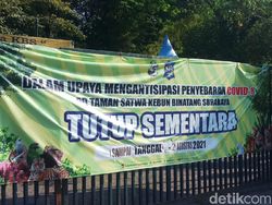 Tutup Selama PPKM, KBS Buka dengan Tour Virtual dan Fokus Perawatan Satwa Tutup Selama PPKM, KBS Buka dengan Tour Virtual dan Fokus Perawatan Satwa