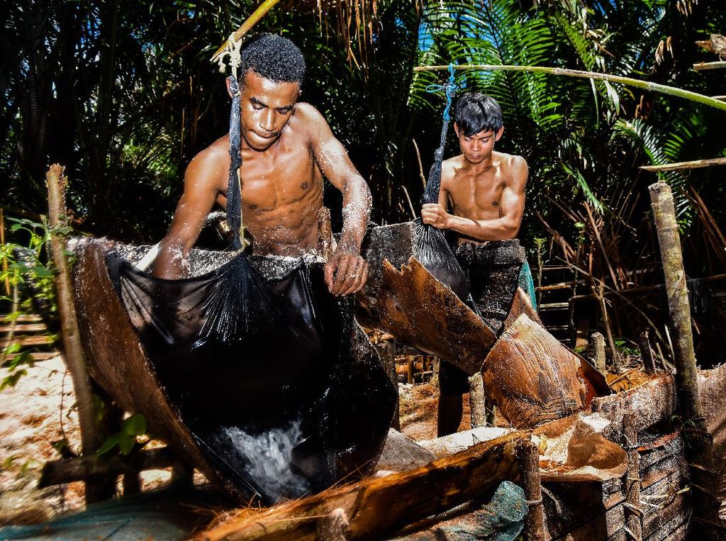 Melihat Pengolahan Sagu Secara Tradisional di Maluku