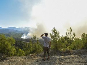 Ngeri! Kebakaran Hutan di Turki Meluas, Warga Melarikan Diri