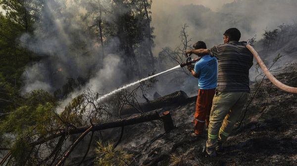 Potret Warga Berjibaku Padamkan Kebakaran Hutan di Turki