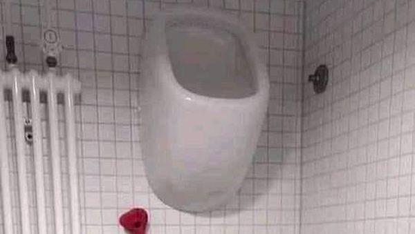 7 Desain Toilet Ekstrem Anti Mainstream Ini Bikin Geleng Kepala, Berani Coba?