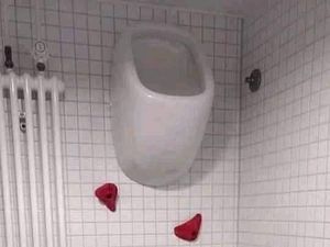 7 Desain Toilet Ekstrem Anti Mainstream Ini Bikin Geleng Kepala, Berani Coba?