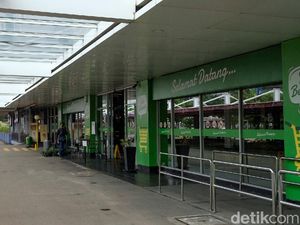 Giant oh Giant, Riwayatmu Kini...