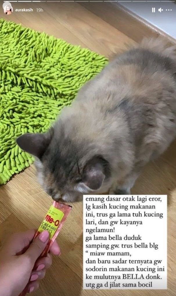 Aura Kasih