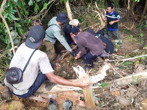 BBKSDA Riau Evakuasi Beruang Madu Terluka Kena Jerat di Indragiri Hulu