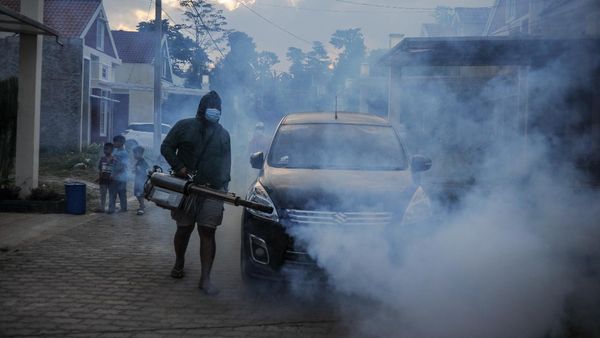 Nah Loh! Kasus DBD Tertinggi Terjadi di Jawa Barat