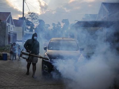 Nah Loh! Kasus DBD Tertinggi Terjadi di Jawa Barat