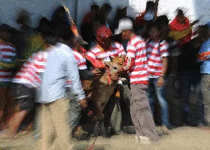 Viral Perangai Warga Madura Hadapi COVID-19 Viral Perangai Warga Madura Hadapi COVID-19