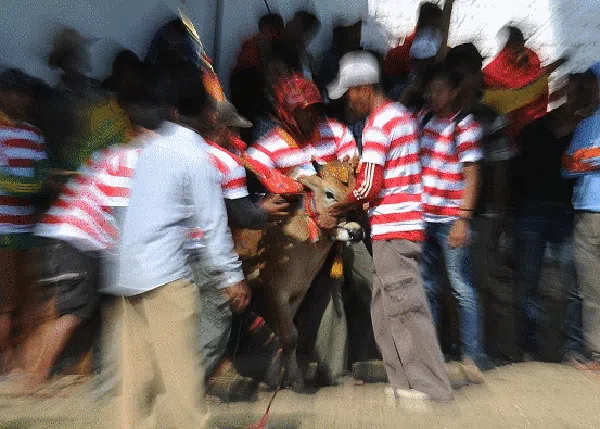 Viral Perangai Warga Madura Hadapi COVID-19