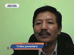 Cerita Owner Yuasafood Ajak Petani Dieng Genjot Budidaya Buah Carica