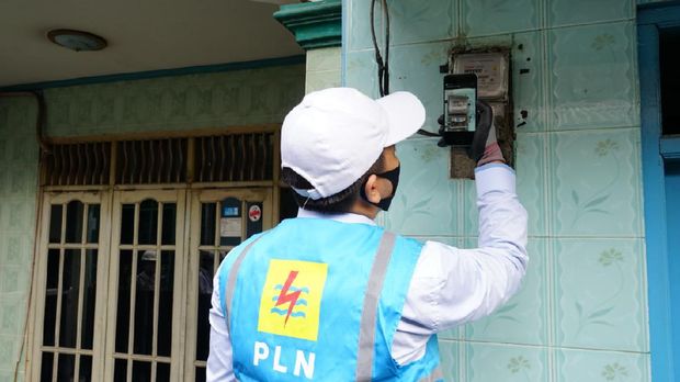 PLN PLN