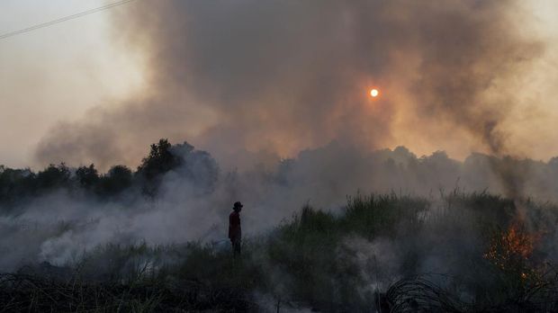 Petugas dari Manggala Agni Daops Banyuasin berusaha memadamkan kebakaran lahan di Desa Pulau Semambu,  Ogan Ilir (OI), Sumatera Selatan, Sabtu (31/7/2021). Petugas gabungan dari Manggala Agni Daops Banyuasin, BPBD Ogan Ilir, TNI dan Polri berhasil memadamkan kebakaran lahan di daerah tersebut. ANTARA FOTO/Nova Wahyudi/wsj.