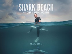 14 Tontonan Baru di Disney+ Hotstar Agustus 2021, Ada What If...?