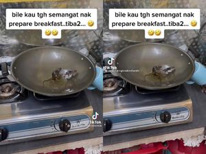 Males Banget! Niat Masak Untuk Sarapan Malah Temukan Tikus Mandi Minyak di Wajan