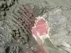 Heboh Pantai Keluarkan Darah di Banyuwangi yang Masih Jadi Teka-teki