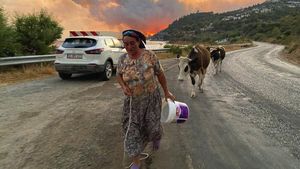 Potret Warga Turki Ramai-ramai Mengungsi Gegara Kebakaran Hutan