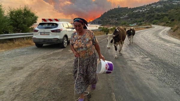 Potret Warga Turki Ramai-ramai Mengungsi Gegara Kebakaran Hutan